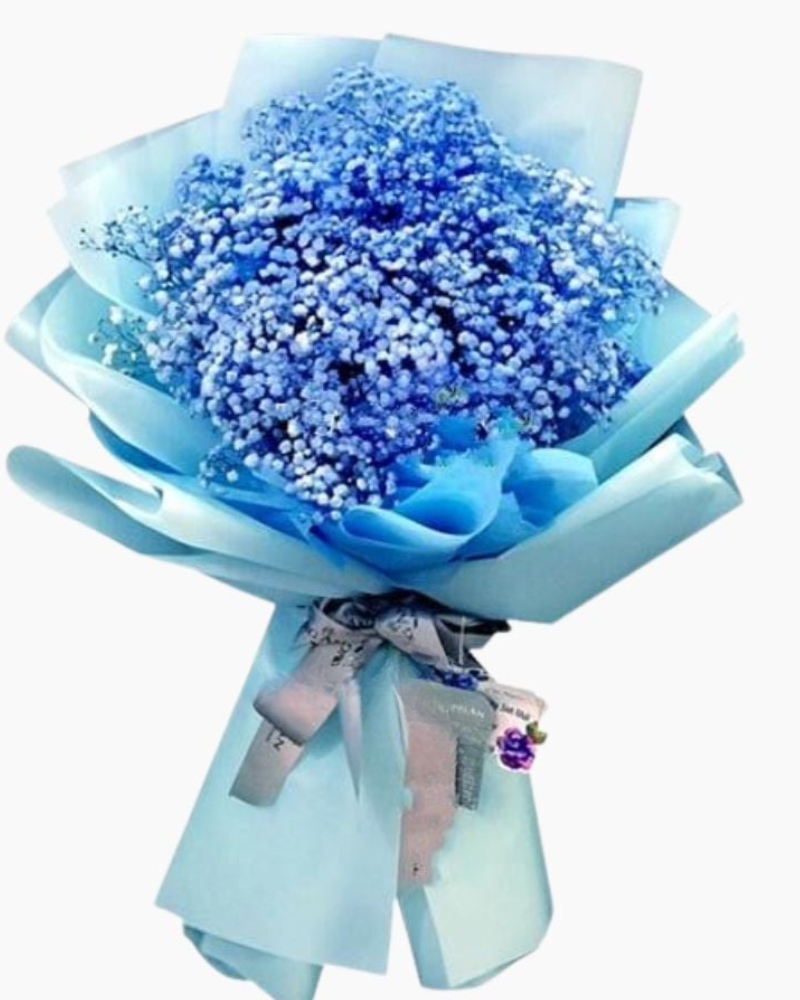 Với Anh Em Là Bầu Trời - HBD101 