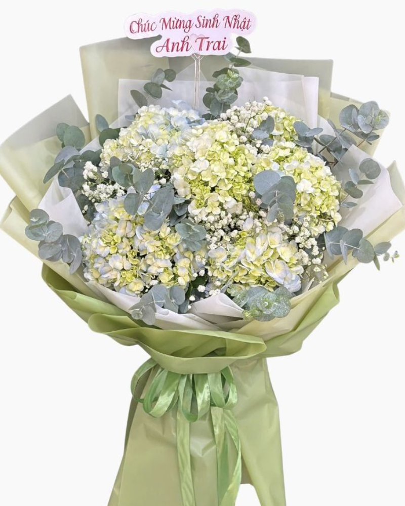  Bó Hoa Cẩm Tú Cầu Mơ Giữa Trời Thu-  Hoa 20/10 - HBD282 