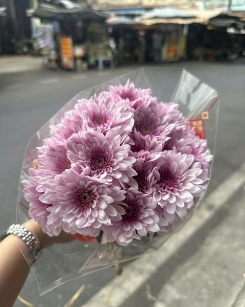 Mẫu Hoa Cúc: Hoa Cúc Tím - HCC04