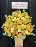  Hộp Hoa Vàng Mặt Trời - HH158 