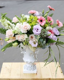  Nhẹ Nhàng - HCB36 