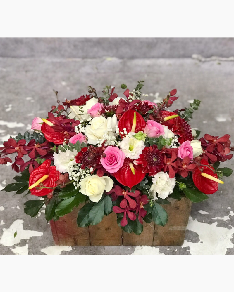  Hoa Để Bàn - Ovan 17 