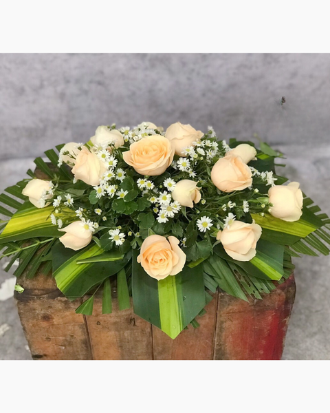 : Hoa Để Bàn - Ovan 16