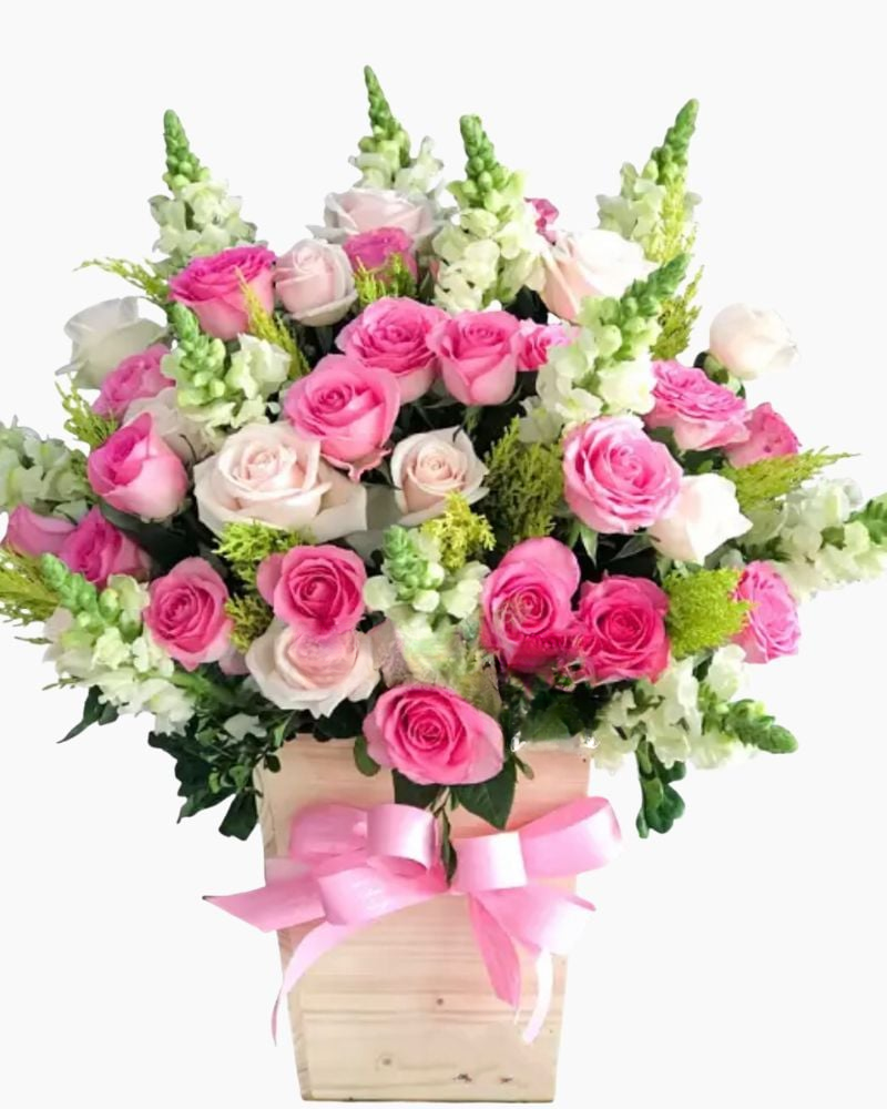  Celerbrate - HCH38 - Hoa Hồng 20/10 