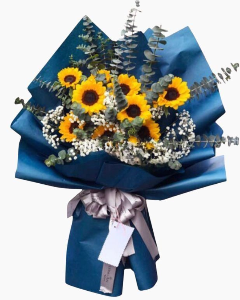  Nắng Sớm - HBD172 