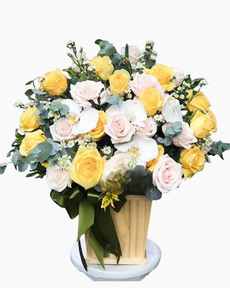  Sắc Hồng Xinh - HCH36 - Điện Hoa 