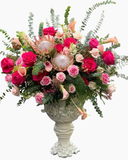  Rose Rapture - HCB18 - Điện Hoa 