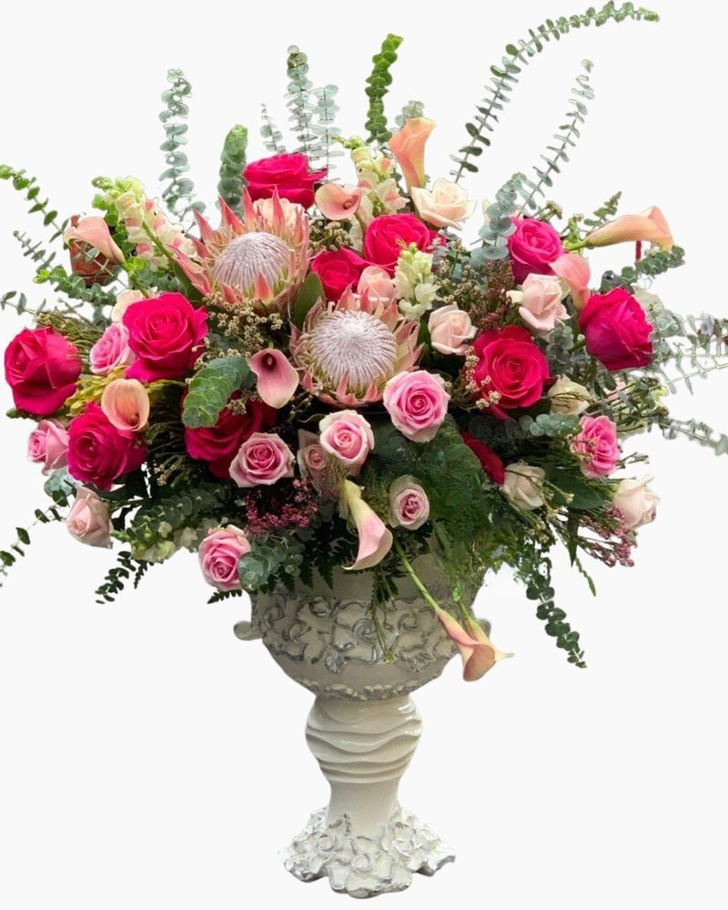  Rose Rapture - HCB18 - Điện Hoa 