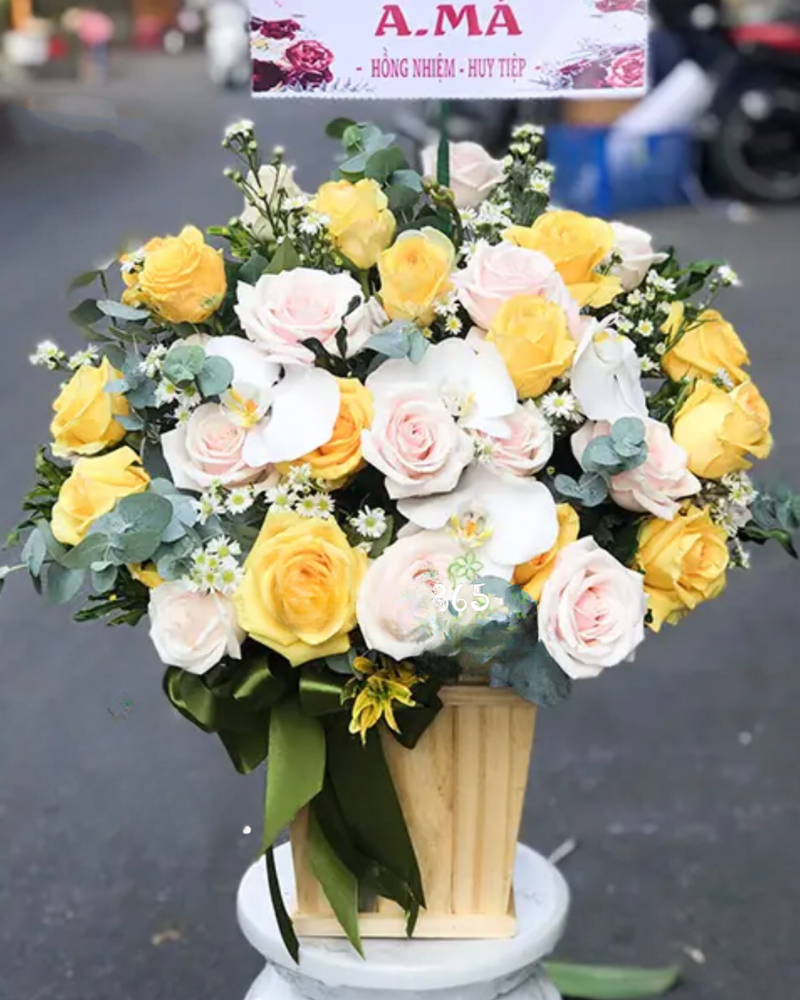  Sắc Hồng Xinh - HCH36 - Điện Hoa 