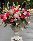  Rose Rapture - HCB18 - Điện Hoa 