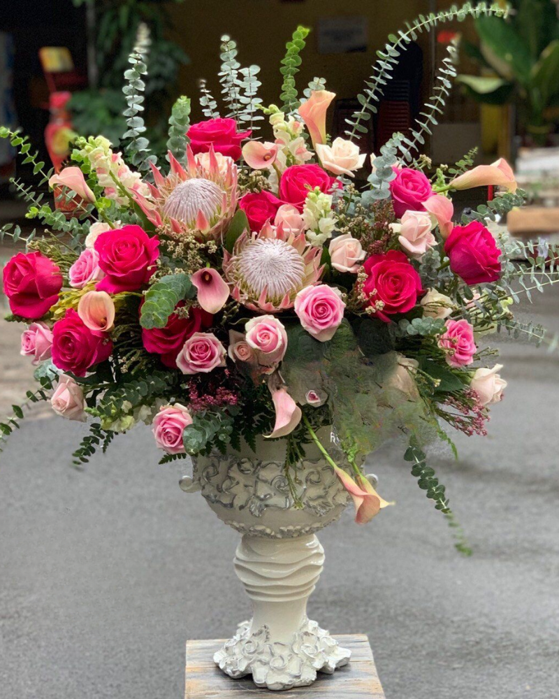  Rose Rapture - HCB18 - Điện Hoa 