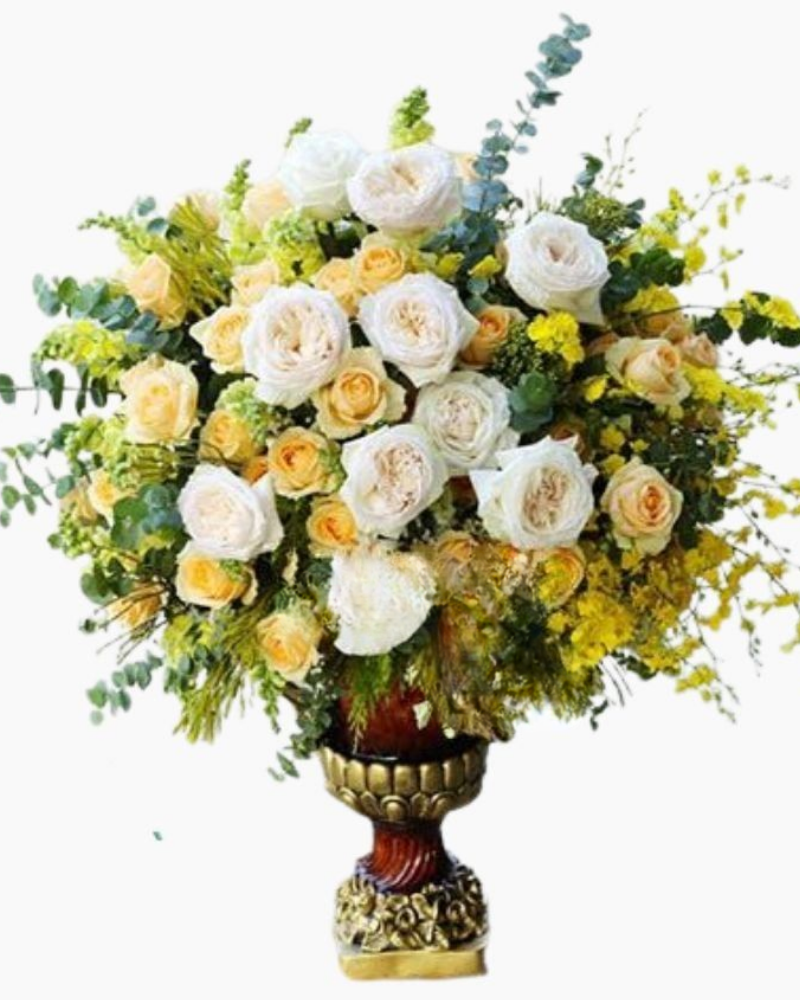  Ký Ức Rực Rỡ - HCB16 