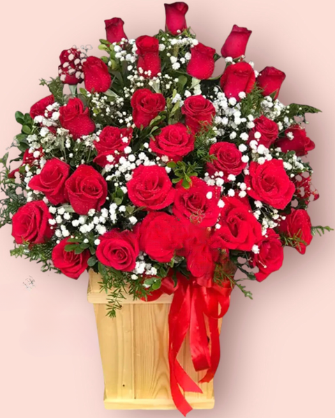 Mẫu Hoa Tươi Màu Đỏ dành cho tình yêu nồng cháy, niềm đam mê: My Dear - HCH34 - Hoa Hồng 20/10