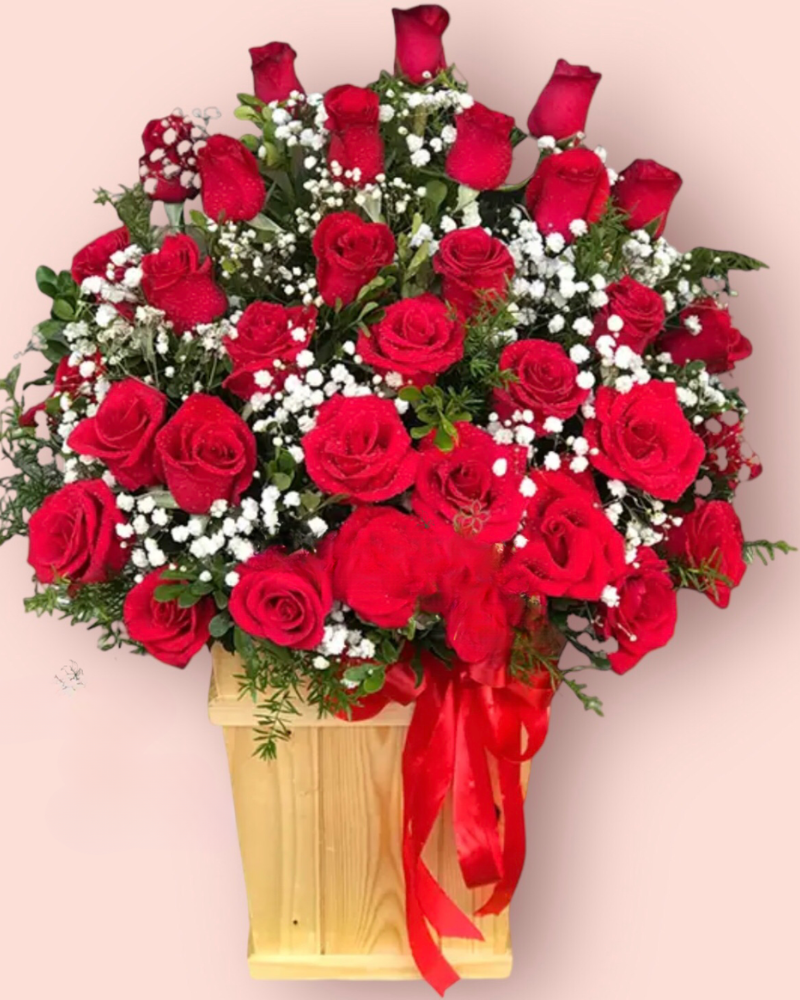  My Dear - HCH34 - Hoa Hồng 20/10 