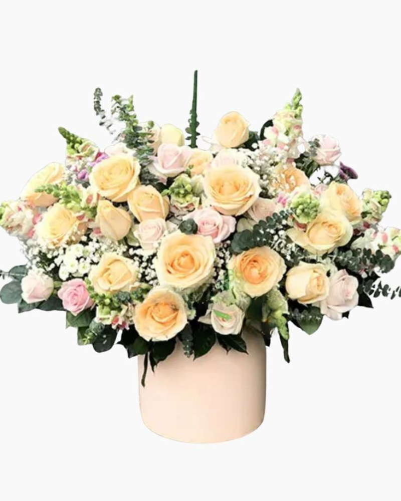  Time Love - HCH33 - Hoa Hồng 20/10 