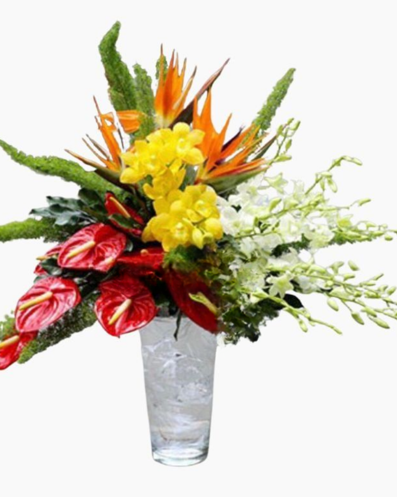  Hương Nắng - HCB13 - Hoa Chúc Mừng Ngày Nhà Giáo Việt Nam 20/11 