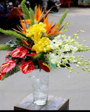  Hương Nắng - HCB13 - Hoa Chúc Mừng Ngày Nhà Giáo Việt Nam 20/11 