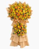 Kệ Hoa Vũ Điệu Ánh Dương - HCM148 