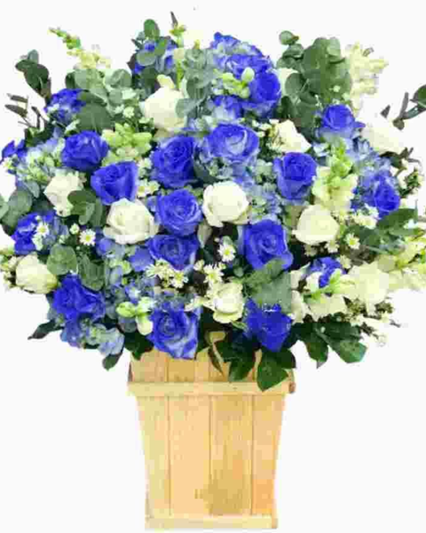 Mẫu Hoa Tươi Màu Xanh: Hộp Hoa Khai Trương Để Bàn Xanh Biển - HCH55