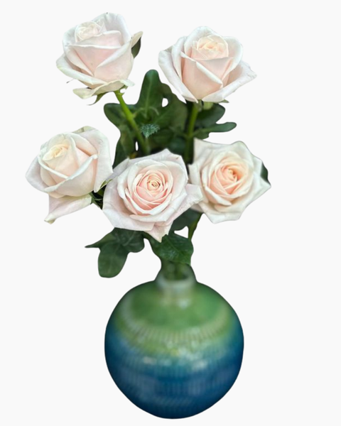 Hoa Hồng Pastel - Hoa Cắt Cành