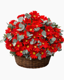  Giỏ Hoa Đỏ Tiền - HG97 