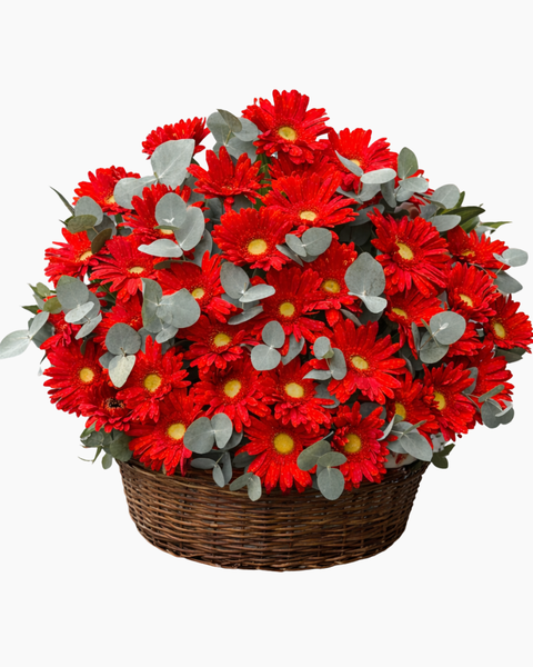 Giỏ Hoa Khai Trương để bàn đẹp: Giỏ Hoa Đỏ Tiền - HG97