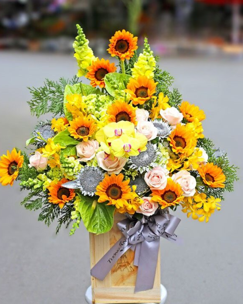  Ngày Nắng - HCH77 