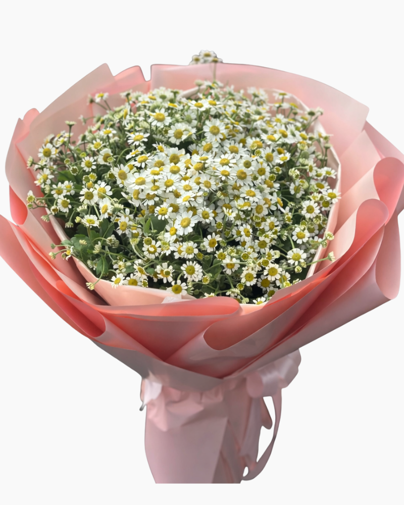  Bó Hoa Hanna Yêu  - HBT113 