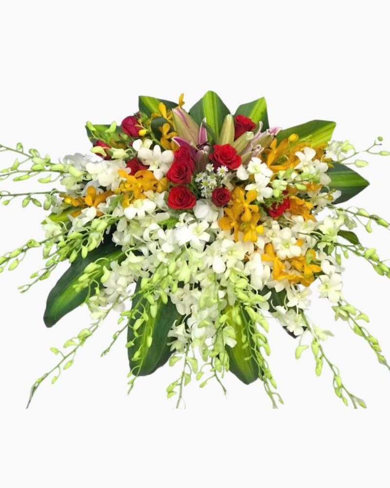  Hoa Bục Phát Biểu Khát Vọng Thành Công - BPB05 