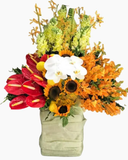  Hộp Hoa Hương Mùa Hè - HCH101 