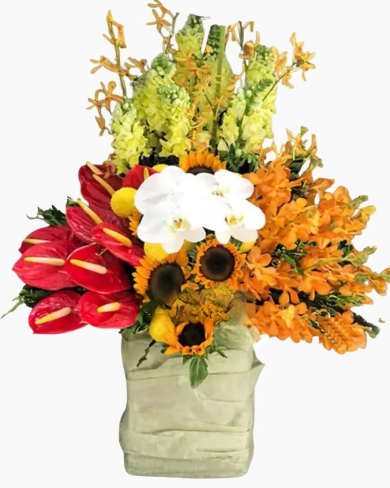  Hộp Hoa Hương Mùa Hè - HCH101 