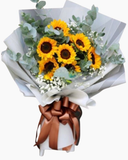  Nắng Mới - HBD206 