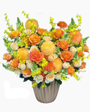  Hoa Hộp Ánh Cam - HH82 