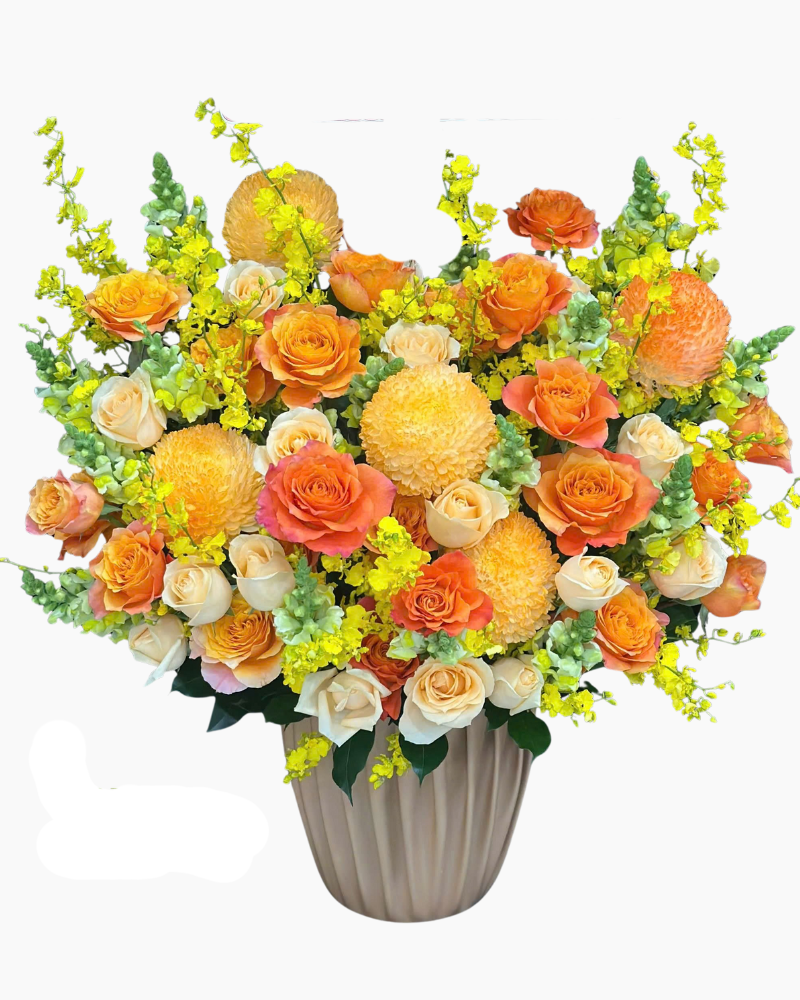  Hoa Hộp Ánh Cam - HH82 