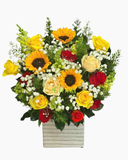  Hoa Hộp Tình Yêu-HH74 