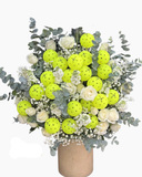  Sắc Xanh Tươi Mát- HBB11 