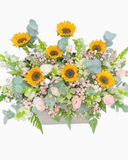  Hộp Hoa Sunflower Harmony - HH70 