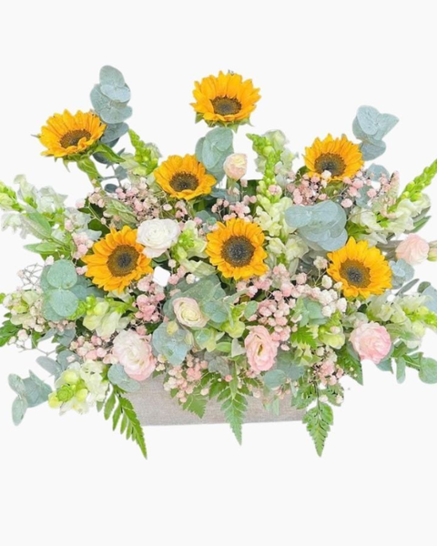 Hoa tặng người yêu đẹp nhất, bó hoa tặng bạn gái lãng mạn ý nghĩa: Hộp Hoa Sunflower Harmony - HH70