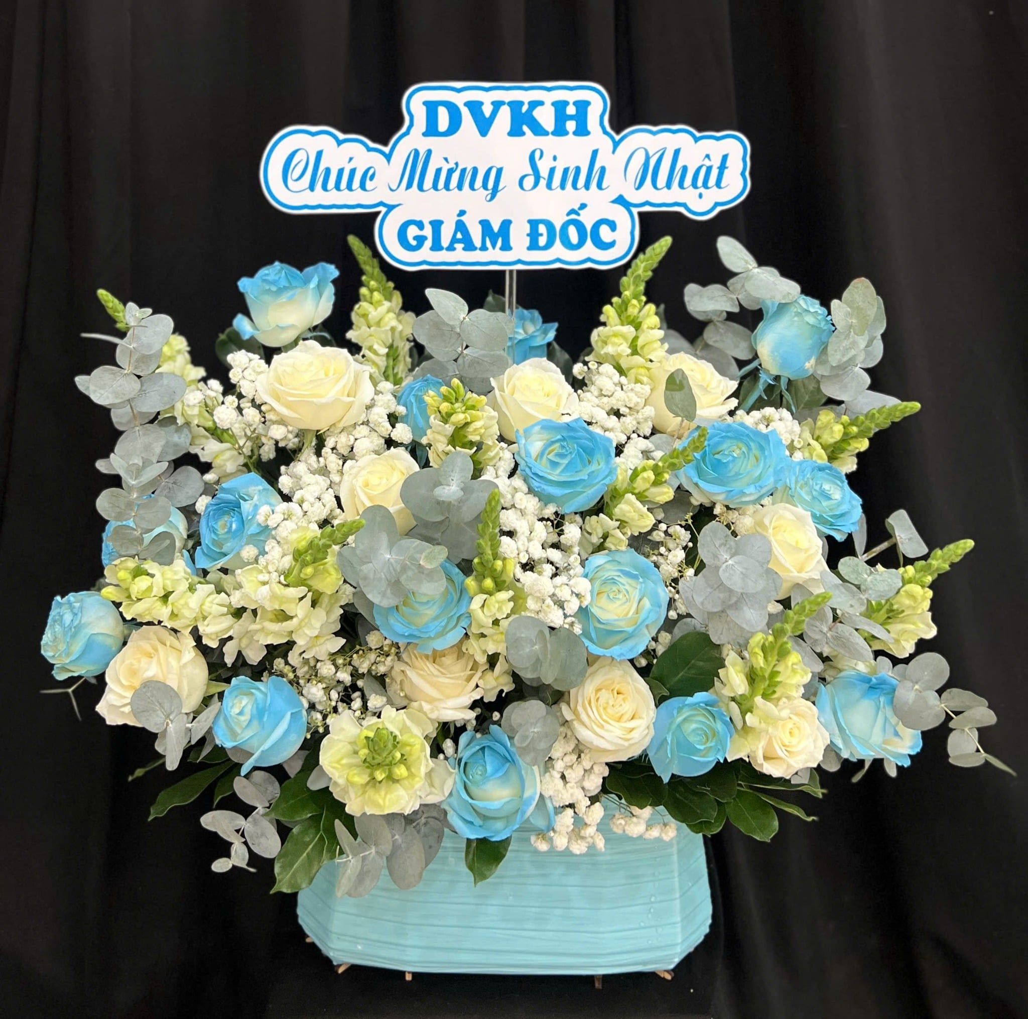  Hộp Hoa Xanh Biển - HH182 
