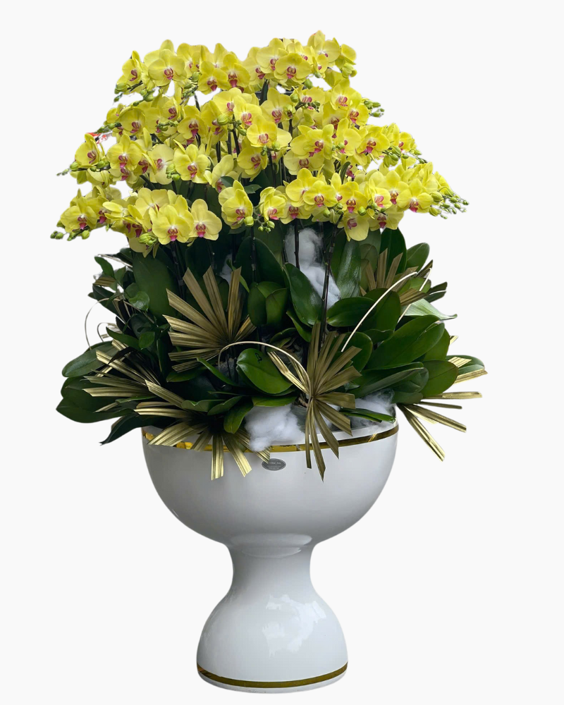  Ngọc Lan Phú Thịnh  - LHĐ138 