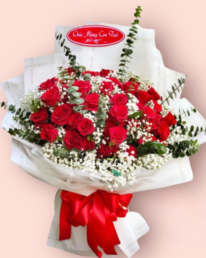  Sắc Đỏ - HBD174 