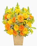  Hộp Hoa Ánh Nắng - HH169 