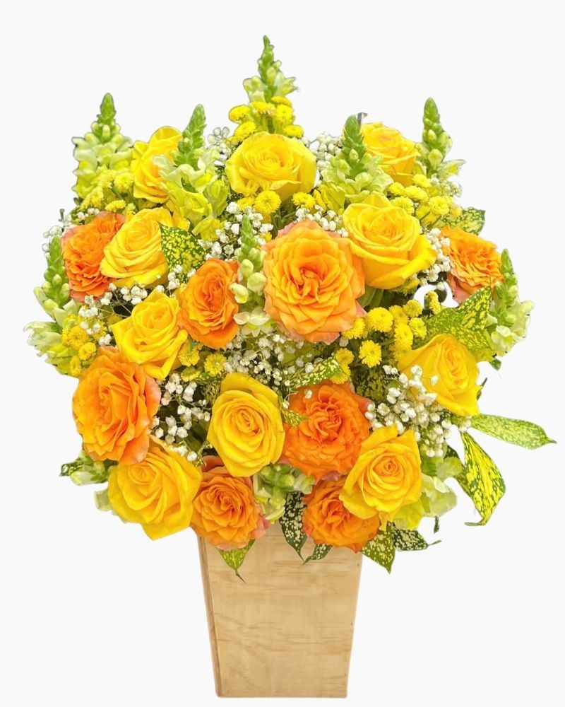  Hộp Hoa Ánh Nắng - HH169 