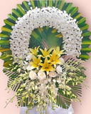  Khoảng Lặng - HTL81 - Vòng hoa đám tang 