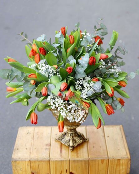 Hoa Tulip bộ sưu tập hoa tulip đẹp, sang trọng, tinh tế: Bình Hoa Tulip - HCB11 - Hoa tặng Mẹ