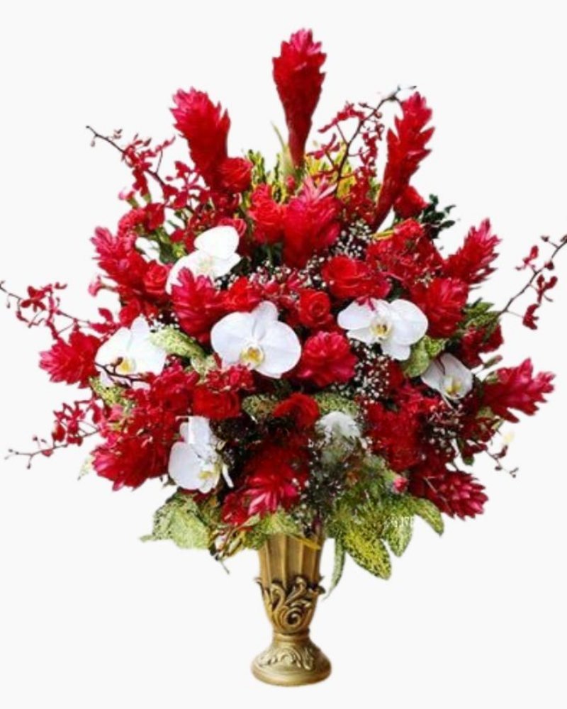  This Song For You - HCB09 - Hoa tặng Mẹ 