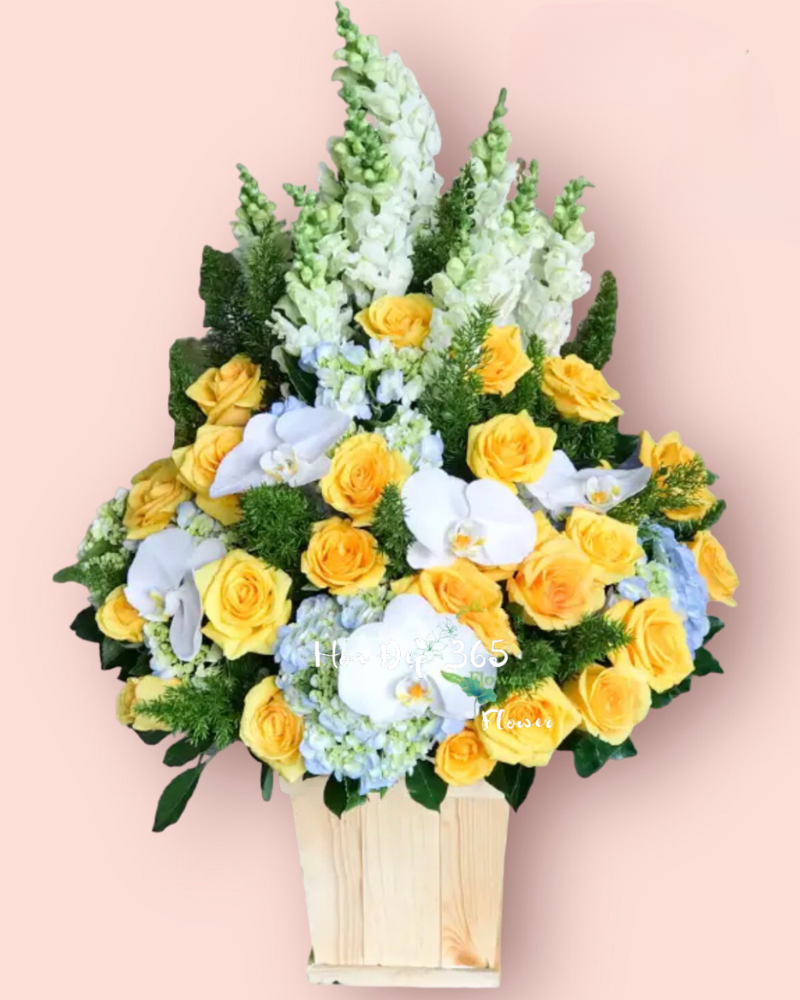  Vững Chí Vươn Xa - HCH28 