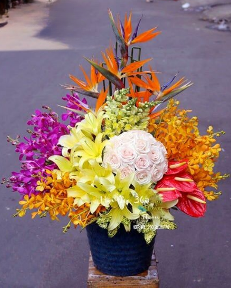  Ngày Tươi Vui - HCB07 