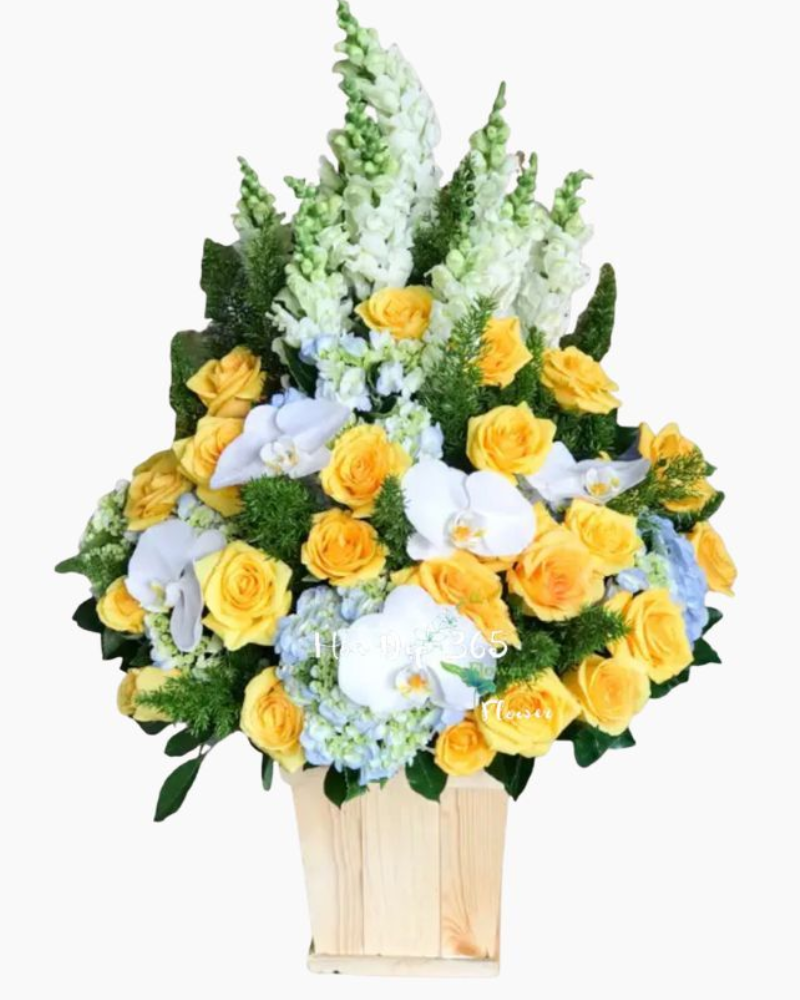  Vững Chí Vươn Xa - HCH28 