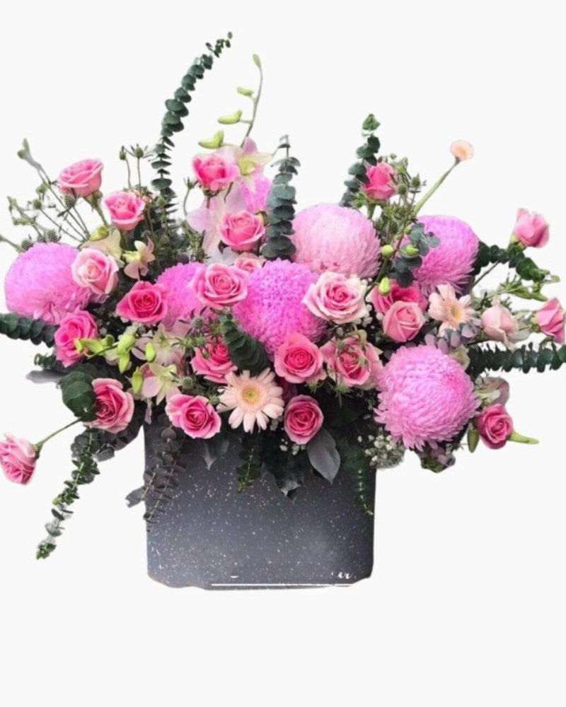  Tím Hồng Mộng Mơ - HH10 - Hoa 20/11 Chia Sẻ Tình Yêu Thương 